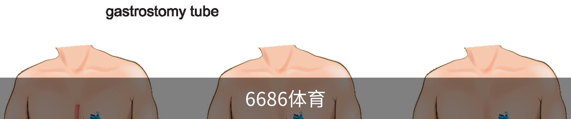 6686体育